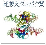 プロテイン