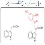 オーキシール